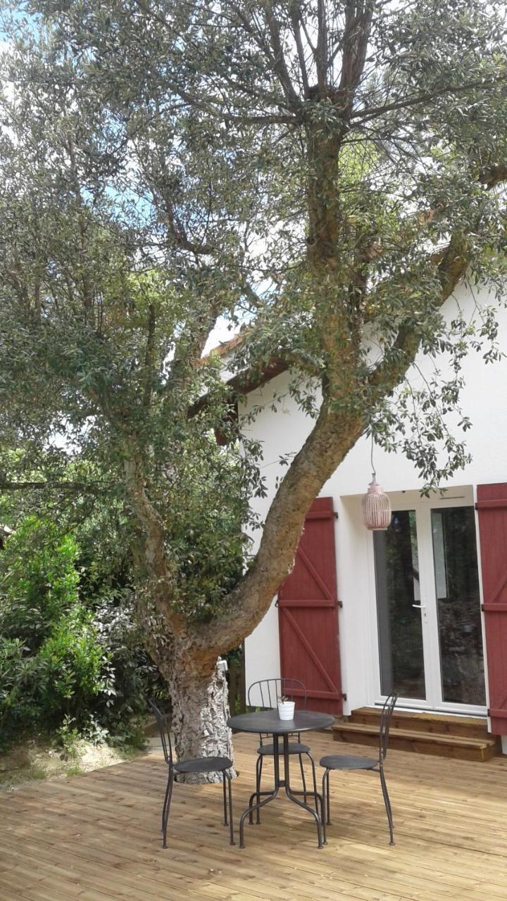 فيو بوكو لي بي Maysoe Chambres D'Hotes المظهر الخارجي الصورة